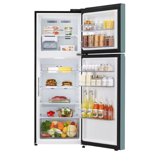 LG 2 DOORS 360L INVERTER FRIDGE - CLAY MINT (GN-B332PMGB)